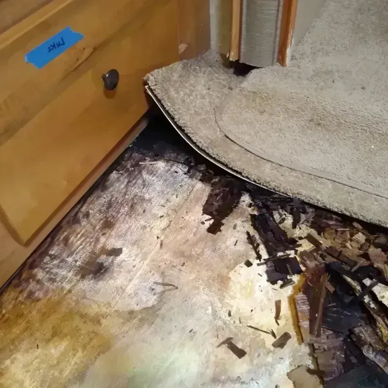 Wood Floor Water Damage in West Lake Stevens, WA